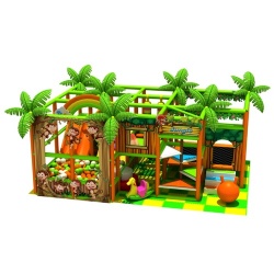 Indoor Play Structure